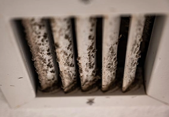 Mold Remediation in Air Ducts in Southport