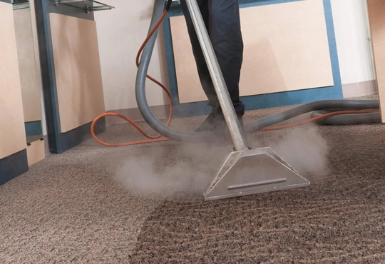 Steam carpet cleaning in Carolina Beach